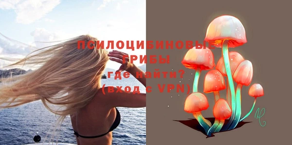 шишки Арсеньев
