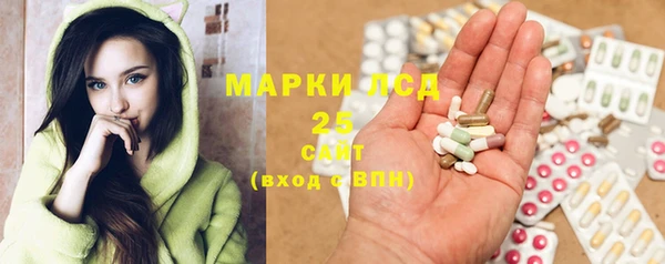 шишки Арсеньев