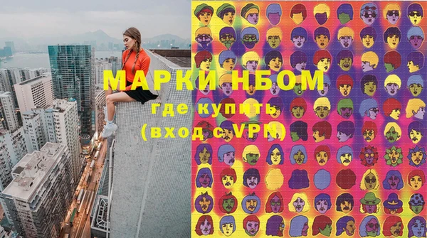 шишки Арсеньев