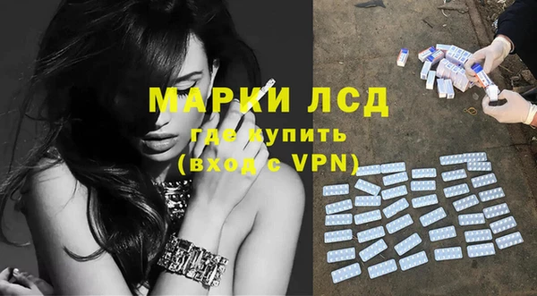 шишки Арсеньев