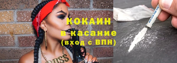 шишки Арсеньев