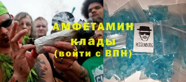 шишки Арсеньев