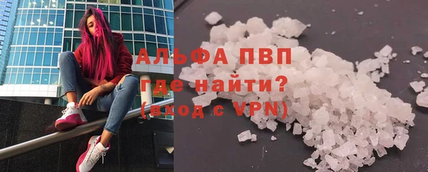 шишки Арсеньев