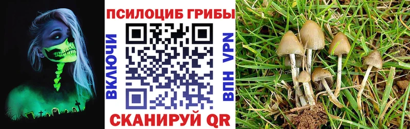 Галлюциногенные грибы прущие грибы  Михайловск 