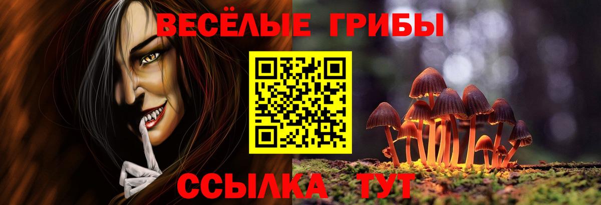 Псилоцибиновые грибы Magic Shrooms Михайловск